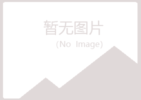 河池夏菡机械有限公司